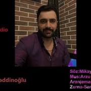 Mikayil Guleddinoglu Toydu 2019