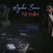 Aydın Sani Neynim