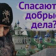 Зачем Я Живу В Чем Смысл Жизни О Предназначении Человека Алексей Осипов