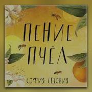 София Сеговия Пение Пчел