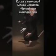 Крыса Флексит Под 6Ix9Ine
