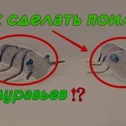 Мира И Гоша Мучно