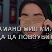 Дал Декъал Йойла Хьо Медни