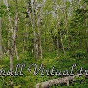 Плейлист Для Прогулки По Лесу