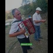 Песни Под Гармошку Чеченские