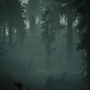 Halloween Haunted Swamp Ambience Soundscape Background Sounds 2 Hours