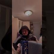 Отчего Так В России Березы Шумят Гармонь