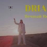 Driada Вечныи Ночнои