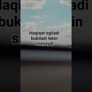 Haqiqat Egiladi Bukiladi Lekin Sinmaydi