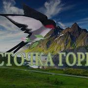 Ласточка Горная На Гитаре