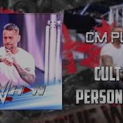 Wwe Cm Punk Theme Ae