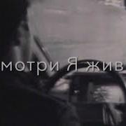 Чёрная Пантера Что Брат Я Ведь Сдался Смотри Я Жив