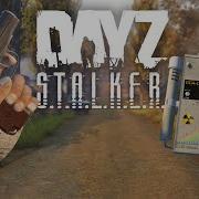 Dayz Сталкер