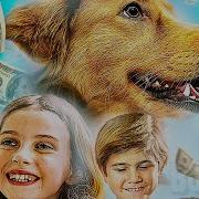 Жена И Дочь Песня