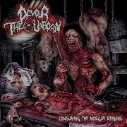 Devour The Unborn Bitch In A Ditch