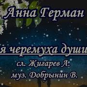 Караоке Белая Черемуха Душистая