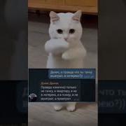 Музыка Со Смыслом Мем