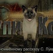 Купи Кота Купи Кота