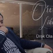 Ürək Ola Bilseydi