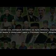 Нашид О Шахидах