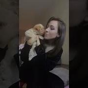 Купил Собаку Чтобы Дома Не Грустил Родители Не Разрешали Повзрослел Купил