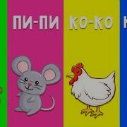 Песни Про Животных Для Взрослых