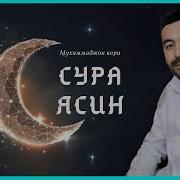 Мухамаджон Кори Акамиздан Ясин Сураси Кироти