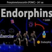 Endorphins