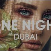 Arash One Night In Dubai Remix