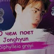 О Чем Пел Ким Джонхен В Skeleton Flower Jonghyun 종현 산하엽 Diphylleia