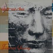 Forever Yong Zivert