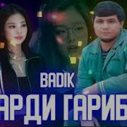 Дарди Гарибо Бадик Мс