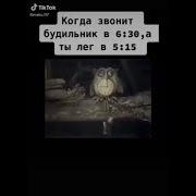 Рыбалка Звонит Будильник В 5 Утра