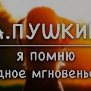 Стихотворение А С Пушкин Я Помню Чудное Мгновенье Стихи Русских Поэтов Аудио Стихи Слушать