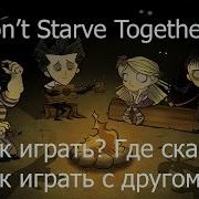 Don T Starve Together Как Установить И Играть С Другом