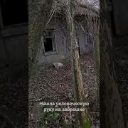 Дивчину Пытает Казак У Плетня Скачать
