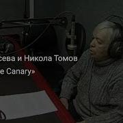 Мария Косева И Никола Томов Blue Canary