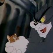 In Me Power Tom And Jerry