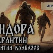 Пандора Книга Первая Карантин