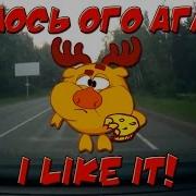Лось Ого Ага That S The Way I Like It