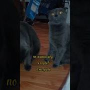 Меня Уважает И Любит Семья