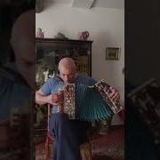 Синий Платочек На Гармони