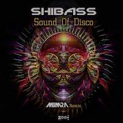 Shibass Sound Of Disco Remix