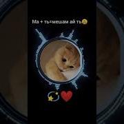 Ма Ай Ту Мешам Ту Ай Ма