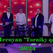 Gor Mecoyan Tornik