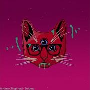 Andrew Shepherd Enigma Original Mix