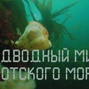 У Охотского Моря Где Лютуют Ветра