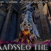 Guild Wars 2 Kaadsseo The Wise Domain Of Vabbi Riddle Achievement