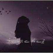 Mera Ishq Tu Mera Mushq Tu