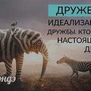 Дружба Идеализация Дружбы Друг Или Не Друг Ада Кондэ